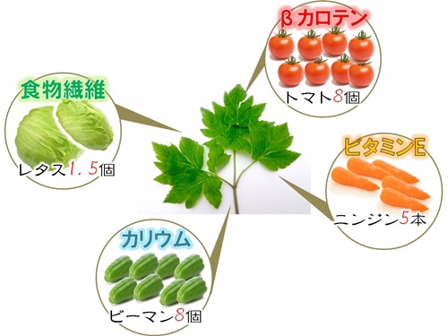 明日葉の栄養素を他の野菜と比較