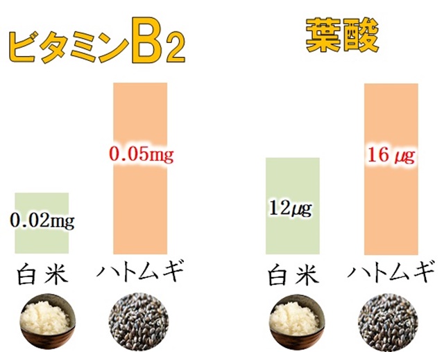 ハトムギと白米のビタミンB2＆葉酸含有量比較