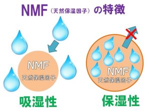 NMF（天然保湿因子）の2つの特徴